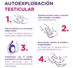 2025 07 09 Importancia de la autoexploración testicular (2)